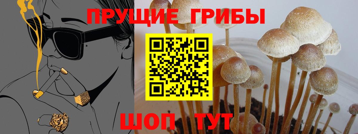 Тутаев  Псилоцибиновые грибы ЛСД  Вход с VPN 